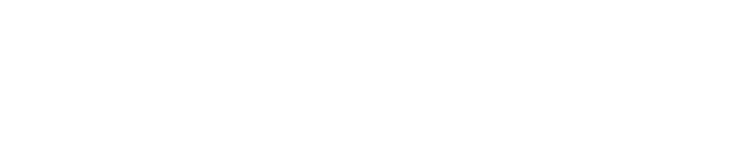 Boominis